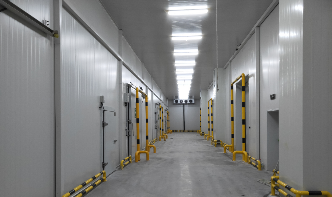 冷庫(kù)怎么節(jié)能？從這些方面入手